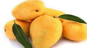 چگونه با انبه وزن کم کنیم؟
