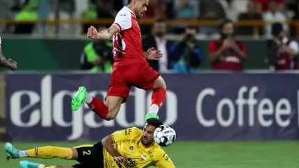 اخبار پرسپولیس | گران‌ترین بازیکن تاریخ باشگاه پرسپولیس/ آکادمی بازیکن سابق پرسپولیس، مجوز ندارد