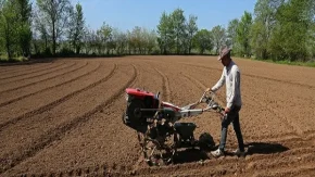 کاشت ۳۰۰ نهال به مناسبت سی‌امین سالروز تاسیس بیمه معلم در شهرری