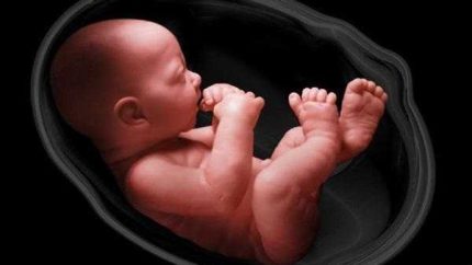 اختلال عضلانی ژنتیکی یک جنین در رحم مادر درمان شد