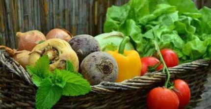 خوردن سبزیحات خام بهتر است یا سبزیجات پخته شده؟
