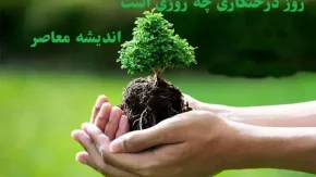 روز درختکاری چه روزی است در تقویم/؟روز درختکاری فرداست!چطور می‌توانیم مشارکت کنیم