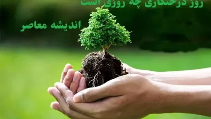 روز درختکاری چه روزی است در تقویم/؟روز درختکاری فرداست!چطور می‌توانیم مشارکت کنیم