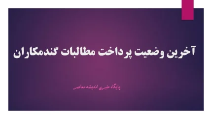 گندمکاران بخوانند / موعد پرداخت ۲۰ همت مطالبات معوق اعلام شد / نکات کلیدی برای دریافت وام / آخرین اخبار از تسویه حساب‌ها
