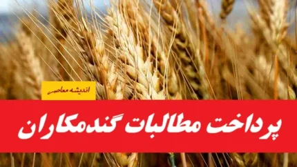 آخرین اخبار پرداخت پول گندمکاران 1404| پرداخت ۴۴ درصد مطالبات گندم‌کاران تا تیر ۱۴۰۴ + قیمت جدید خرید تضمینی گندم(15 مرداد 1404)