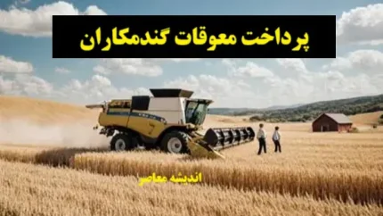 بازار گندم در آستانه تغییر؛ قیمت گندم افزایش می‌یابد یا نه؟ هشدار و امید برای گندمکاران