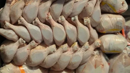 قیمت جدید مرغ امروز ۲۱ اردیبهشت ۱۴۰۵؛ ران و سینه مرغ کیلویی چند شد؟ + جدول