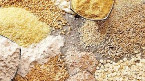 خبر مهم برای دامداران؛ سرنوشت قیمت نهاده‌های دامی به پرداخت بدهی دولت گره خورد | جزئیات پشت‌پرده