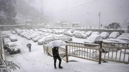 کاهش محسوس دما و بارش برف و باران در تهران؛ هشدار هواشناسی