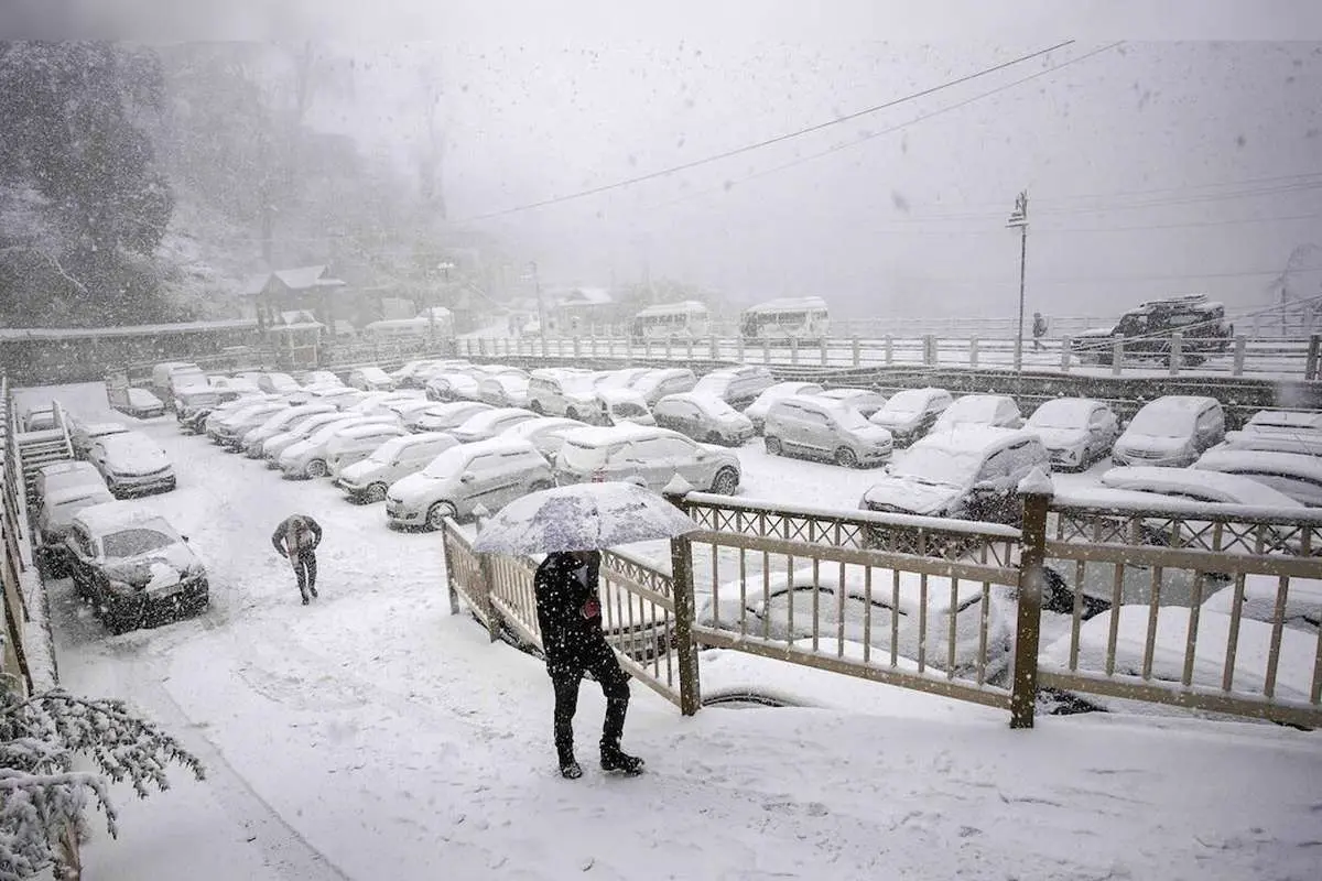 کاهش محسوس دما و بارش برف و باران در تهران؛ هشدار هواشناسی
