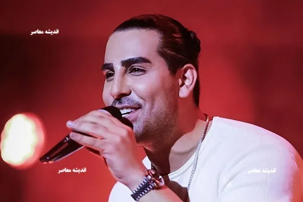 آهنگ جدید مجید رضوی به نام دوست دارم (ورژن گیتاری)