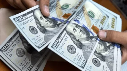قیمت دلار و یورو امروز جمعه ۱۲ تیر ۱۴۰۵ | آخرین نرخ ارز در بازار آزاد | جدول قیمت دلار، یورو و درهم