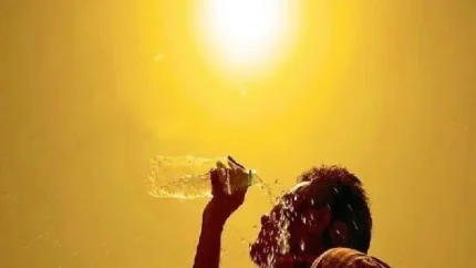 گرمای بی‌سابقه اروپا معادلات سفر را تغییر داد | رکوردشکنی دمای ۴۵ درجه؛ مدارس و آثار تاریخی تعطیل شدند / هشدار سازمان جهانی هواشناسی: ۱۵۰ میلیون نفر در معرض گرمای مرگبار؛ خنک‌ ترین مقاصد تابستانی کدامند؟ + جدول اختلالات حمل‌ و نقل