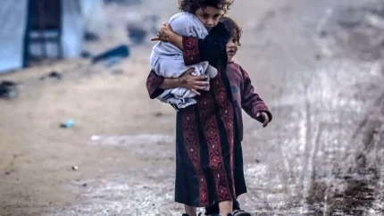 حملات تازه اسرائیل به غزه؛ آمار ۴۸ شهید و مجروح اعلام شد / موج جدید حملات به غزه؛ جزئیات تلفات و مناطق هدف منتشر شد / غزه دوباره زیر آتش؛ حملات اسرائیل ده‌ها شهید و مجروح برجای گذاشت