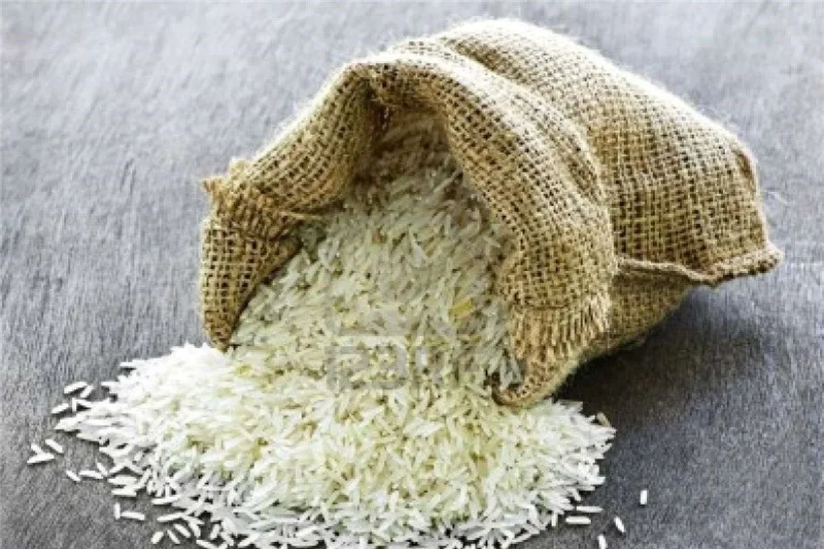 قیمت برنج هندی 12 تیر ۱۴۰۵ | کیسه ۱۰ کیلویی برنج ۱۱۲۱ خوشبخت ۲.۴۶ میلیون، باسماتی خاطره ۳.۶۵ میلیون تومان / بازار با ثبات نسبی؛ اختلاف قیمت میان فروشگاه ها قابل توجه است + جدول قیمت ۳۰ برند پرفروش