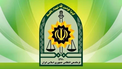 خبر فوری فراجا | تکذیب نقش پلیس در قطع کالابرگ؛ سخنگو: تخصیص کالابرگ ارتباطی با وظایف ما ندارد / واکنش به ادعای معاون وزیر رفاه: اظهارات بی‌اساس و تشویش‌ آمیز بود
