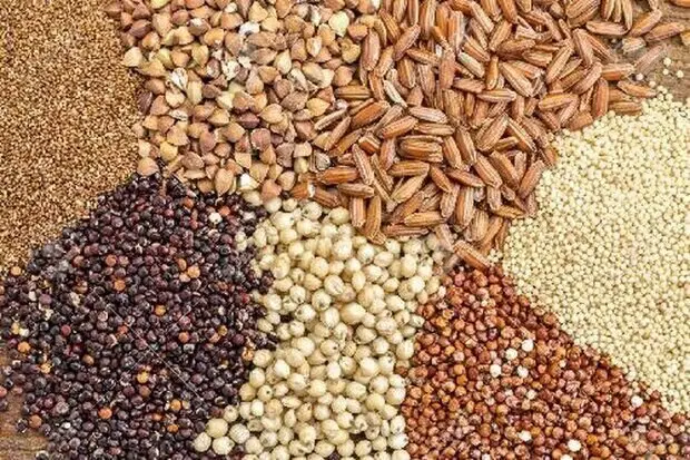 جدیدترین قیمت نهاده های دامی امروز ۲۷ مرداد؛ نرخ سبوس گندم و برنج اعلام شد + جدول کامل / قیمت روز سبوس گندم، برنج و نهاده های دامی؛ بازار کشاورزی در ۲۷ مرداد ۱۴۰۵ چه نرخی دارد؟