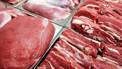 قیمت گوشت گوساله امروز ۱۹ مرداد ۱۴۰۵؛ ران و ماهیچه کیلویی چند شد؟ + جدول قیمت‌ها