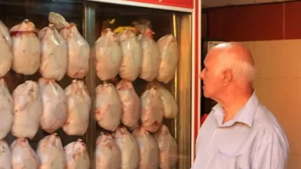 بی نیازی بازار به واردات گوشت مرغ؛ چرا بازار ایران دیگر به مرغ وارداتی نیاز ندارد؟ / واردات گوشت مرغ متوقف می‌شود؟ بررسی وضعیت تولید و تامین گوشت مرغ در بازار ایران / بازار گوشت مرغ بدون واردات؛ جزئیات افزایش تولید داخلی و بی نیازی بازار به گوشت مرغ وارداتی