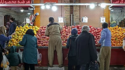 میادین میوه و تره بار چهارشنبه تعطیل شد؛ پنجشنبه از ساعت ۸ تا ۱۳ باز است / ساعت فعالیت میادین تره بار تهران در روزهای پایانی ماه صفر اعلام شد؛ چهارشنبه تعطیل، پنجشنبه نیمه وقت / برنامه کاری میادین میوه و تره بار در ۲۱ و ۲۲ مرداد؛ مردم برای خرید چه ساعتی مراجعه کنند؟