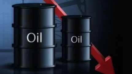 نفت امروز چند دلار شد؟ قیمت برنت و WTI کاهش یافت + جدول / خبر داغ بازار انرژی؛ قیمت نفت بعد از چند روز صعود نزولی شد / نفت ارزان شد؛ آخرین قیمت برنت و نفت آمریکا امروز پنجشنبه ۲۲ مرداد را ببینید