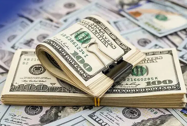 اخبار فوری اقتصادی | اسامی مخفف متخلفان ارزی منتشر شد؛ ۷۰۰ پرونده در دادسرای جرایم اقتصادی در حال رسیدگی است / آغاز شمارش معکوس برای متخلفان؛ احکام قطعی و اسامی کامل متعاقباً اعلام میشود