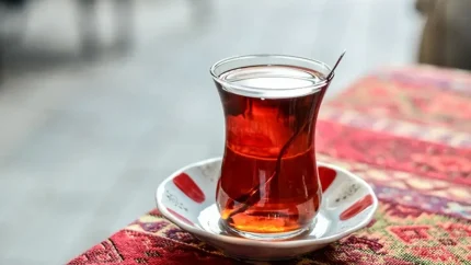 خبر مهم برای واردکنندگان؛ ثبت سفارش انبه و چای از فردا کلید می‌خورد / واردات انبه و چای وارد مرحله تازه شد؛ ثبت سفارش از فردا آغاز می‌شود / انبه و چای در مسیر واردات؛ آغاز ثبت سفارش از فردا و جزئیات بخشنامه جدید