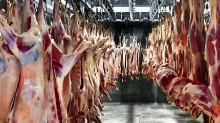 قیمت جدید گوشت قرمز امروز یکشنبه ۸ شهریور ۱۴۰۵ | هر کیلو ران گوسفندی ۲.۱۹ میلیون تومان و ران گوساله ۲.۱۳ میلیون تومان / بازار در آرامش کامل؛ نوسان صفر قیمت ها در نخستین روز کاری هفته