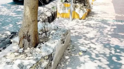 پشت‌پرده اتفاقات خیابان سنایی تهران؛ تخریب جدول‌ها و حواشی کافه‌ها چیست؟ / ماجرای خیابان سنایی ادامه دارد؛ از ساماندهی معابر تا پلمب کافه‌ها