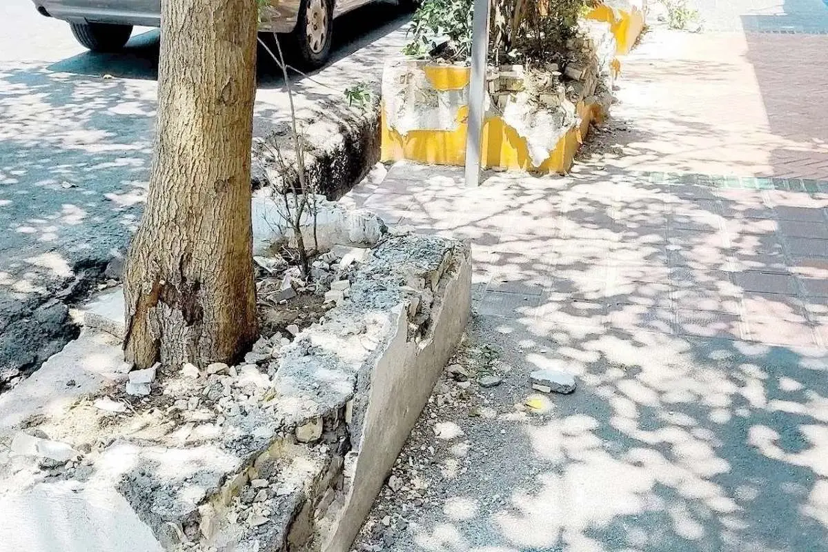 پشت‌پرده اتفاقات خیابان سنایی تهران؛ تخریب جدول‌ها و حواشی کافه‌ها چیست؟ / ماجرای خیابان سنایی ادامه دارد؛ از ساماندهی معابر تا پلمب کافه‌ها