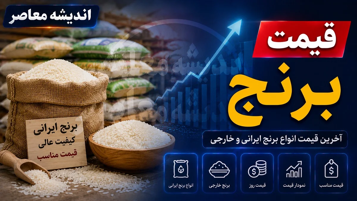 قیمت جدید برنج شمال امروز ۳ شهریور؛ از طارم هاشمی ممتاز تا دم سیاه محلی + جدول / هر کیلو ۴۳۰ تا ۵۴۰ هزار تومان؛ نرخ‌های عمده و کارخانه‌ای در مازندران و گیلان اعلام شد