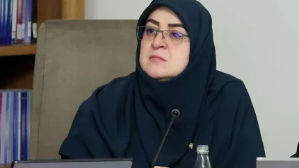 مهاجرانی درباره بنزین ۸۰ هزار تومانی توضیح داد / سخنگوی دولت: هنوز هیچ قیمت جدیدی برای بنزین تصویب نشده است / جزئیات آخرین تصمیم دولت