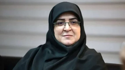مهاجرانی از راز پیشرفت کشور گفت؛ مشروطه چه درسی برای امروز دارد؟ / سخنگوی دولت: وقتی کنار هم باشیم می‌توانیم جلو برویم / بازخوانی یک تجربه تاریخی؛ مشروطه و نقش همگرایی در تغییرات بزرگ