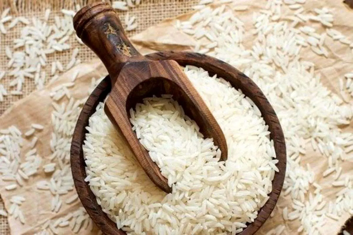 گرانی یا آرامش در بازار برنج؟؛ آخرین قیمت برنج هاشمی، طارم و ارقام پرمصرف اعلام شد / سفره ایرانی زیر فشار قیمت‌ها؛ جدول جدید نرخ برنج‌های محبوب کشور منتشر شد