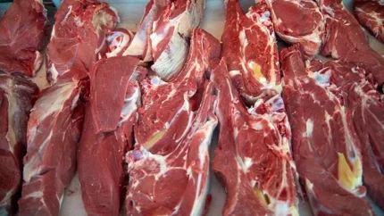 قیمت گوشت قرمز امروز ۲۹ مرداد ۱۴۰۵ / راسته، ران و گردن گوسفندی به چند رسید؟ / جدول تازه قیمت گوشت در بازار