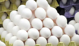 روزی چند تخم مرغ بخوریم؟ پاسخ متخصصان درباره مقدار مناسب مصرف تخم مرغ / تخم مرغ برای سلامتی مفید است، اما روزانه چند عدد؟ نکات مهم تغذیه ای / مصرف روزانه تخم مرغ؛ از فواید برای بدن تا مقدار مناسب برای حفظ سلامتی