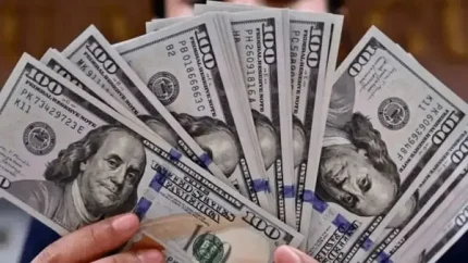 پیش‌بینی قیمت دلار فردا یکشنبه ۱۸ مرداد | اتراق دلار در ایستگاه استراحت؛ بازار در انتظار بازگشایی تنگه هرمز / تحلیلگران: شکاف میان دلار حواله و اسکناس به کمترین سطح رسیده؛ سناریوی افت تا ۱۸۳ هزار تومان در صورت توافق؛ صعود مجدد به ۱۹۰ هزار تومان در صورت شکست مذاکرات