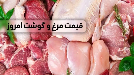 خریداران مرغ بخوانند؛ قیمت امروز مرغ کامل اعلام شد + جدول / قیمت ران و سینه مرغ امروز چقدر است؟ جزئیات نرخ بازار ۱۵ مرداد / مرغ ارزان شد یا گران؟ آخرین قیمت‌ها را ببینید