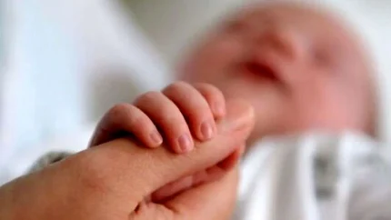 پیگیری وام فرزندآوری با کد رهگیری و کد ملی + راهنمای کامل بازیابی کد فراموش شده