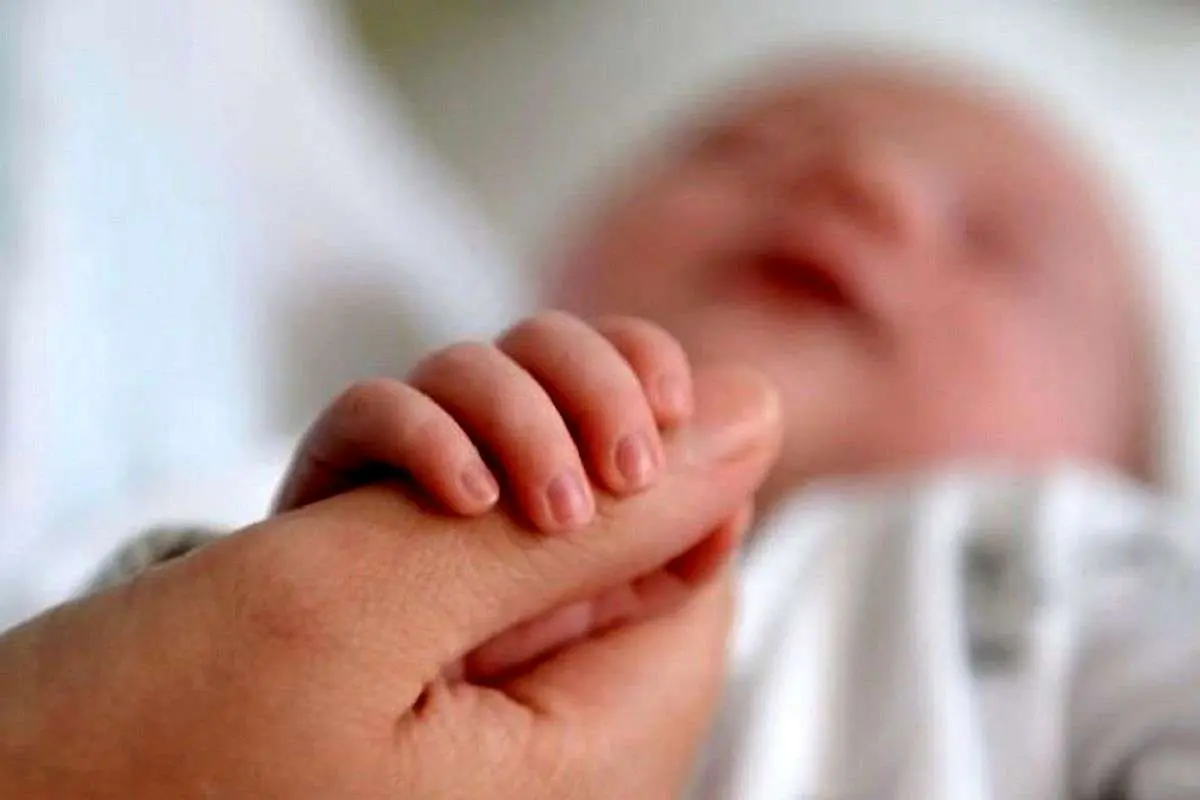 پیگیری وام فرزندآوری با کد رهگیری و کد ملی + راهنمای کامل بازیابی کد فراموش شده