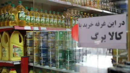 اعلام جزئیات مشمولان کالابرگ مرداد ۱۴۰۵؛ گروه‌های حذف‌شده مشخص شدند / هشدار مهم درباره کالابرگ مرداد؛ این خانوارها منتظر شارژ اعتبار نباشند