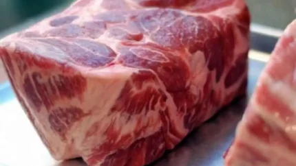 خواص گوشت شتر؛ از کاهش وزن و سلامت قلب تا درمان کمخونی و تقویت قوای جنسی