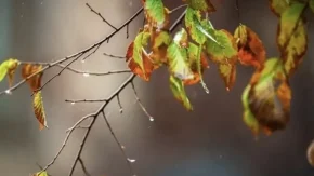 پاییز ۱۴۰۵ چگونه خواهد بود؟ جدیدترین پیش‌بینی درباره بارش، دما و تغییرات جوی / هشدار درباره تغییر الگوی بارش در پاییز ۱۴۰۵؛ هواشناسی از چه تحولاتی خبر می‌دهد؟ / پیش‌بینی غافلگیرکننده هواشناسی برای پاییز ۱۴۰۵؛ تغییر ناگهانی بارش‌ها و احتمال دگرگونی الگوی آب‌وهوا