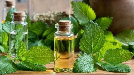 روغن کندوش (کندش)؛ از معجزه‌ای برای رشد مو تا هشدارهای جدی درباره مصرف خوراکی + جدول خواص و روش استفاده