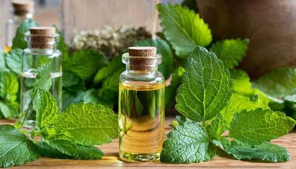 روغن کندوش (کندش)؛ از معجزه‌ای برای رشد مو تا هشدارهای جدی درباره مصرف خوراکی + جدول خواص و روش استفاده