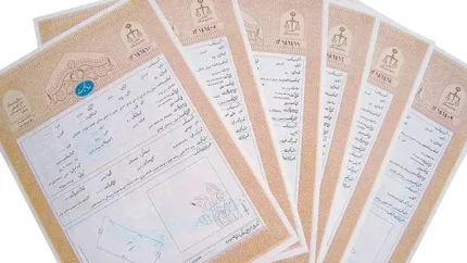 مادر سند چیست و چرا برای دریافت سند رسمی اهمیت دارد؟/چرا اداره ثبت مادر سند را مطالبه می کند؟+ اگر مادر سند را نداریم چه کار کنیم؟