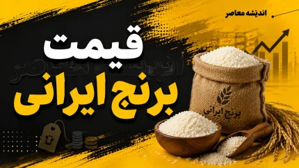 قیمت برنج ایرانی امروز جمعه ۶ شهریور ۱۴۰۵ | جدول جدید نرخ طارم، هاشمی، فجر و عنبربو در بازار