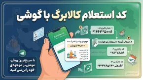 کد استعلام کالابرگ با گوشی ۱۴۰۵ | کد دستوری مشاهده موجودی کالابرگ و دریافت رمز خرید