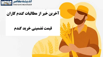 خرید تضمینی گندم ۱۴۰۵ | پرداخت ۲۲۰ همت به گندمکاران و آخرین وضعیت مطالبات + جدول