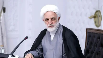 اژه‌ای: حمایت آمریکا از قانون و آزادی، طنز تلخ است
